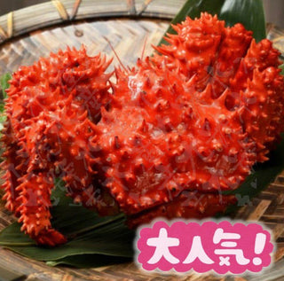 🦀速凍日本北海道花咲蟹🦀
⭐️每隻重570克+💪