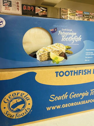 South Georgia 急凍南喬治亞白鱈魚柳扒(5 件魚扒裝)🐟