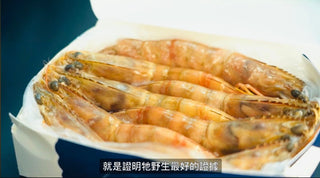 厄瓜多爾野生黃腳蝦(1kg裝)