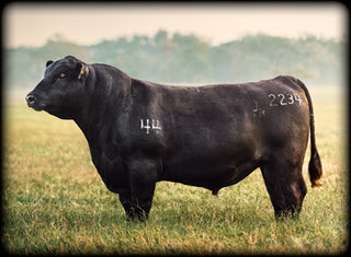 44 Farms 急凍 USDA prime 肉眼扒