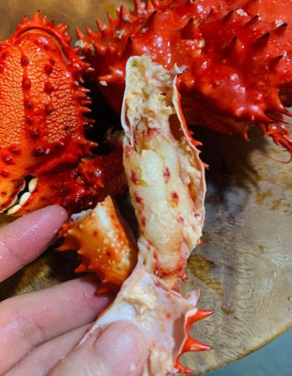 🦀速凍日本北海道花咲蟹🦀
⭐️每隻重570克+💪