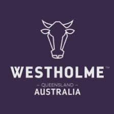 澳洲Westholme M4-M5斧頭扒