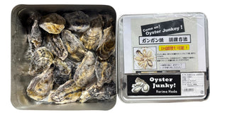 日本罐罐生蠔🦪