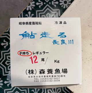 子持ち鮎（12-13尾サイズ/kg）