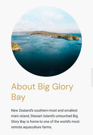 急凍紐西蘭帝王三文魚Big Glory魚柳 300g裝🍣