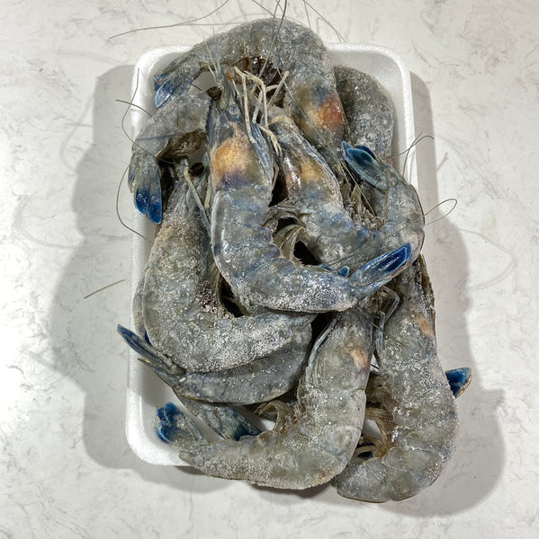 🇫🇷法國🇫🇷煮食用藍水晶蝦12隻裝