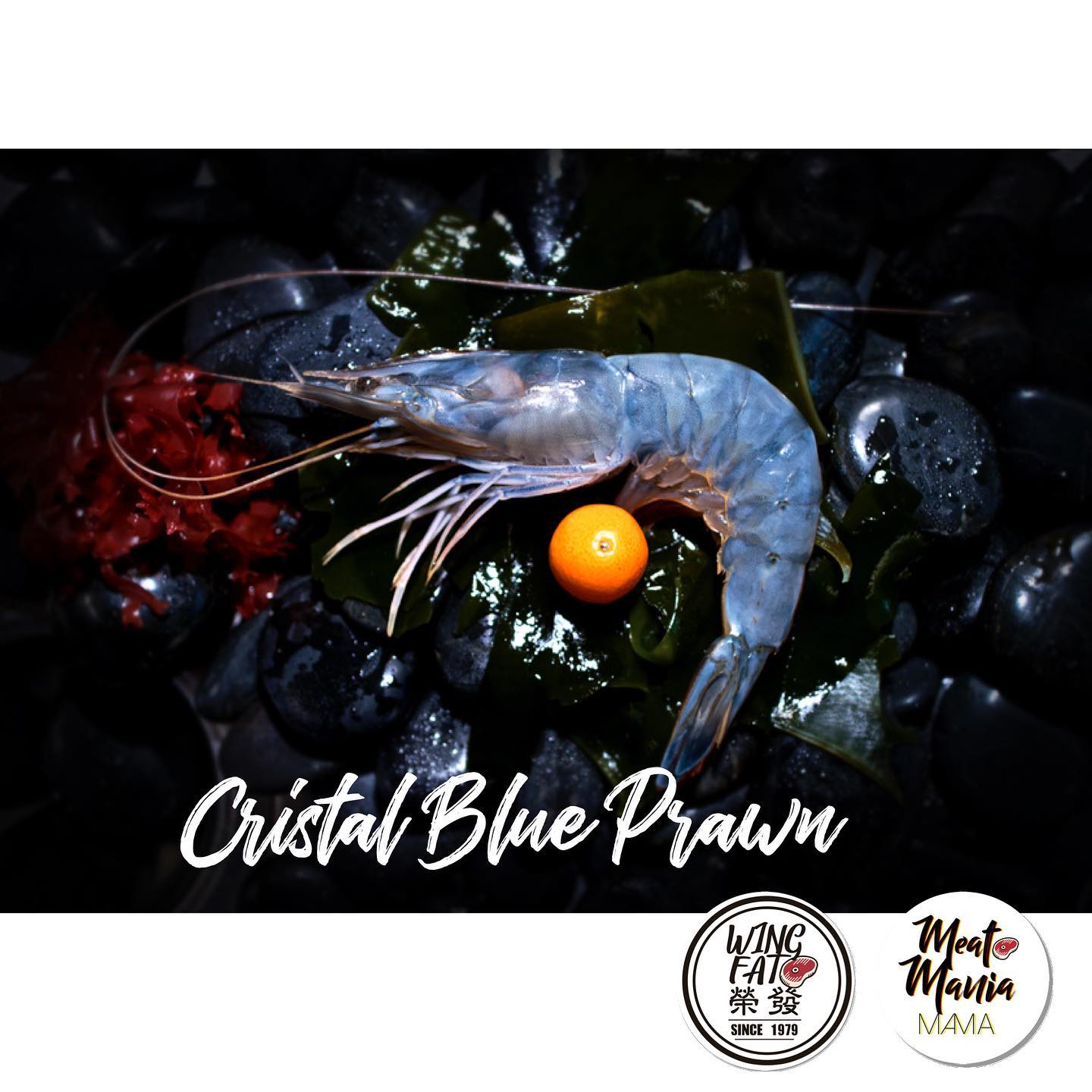 🈹💙🇫🇷法國🇫🇷Cristal Blue Prawn 刺身級藍水晶蝦（日本又叫藍天使蝦 ) (1kg)