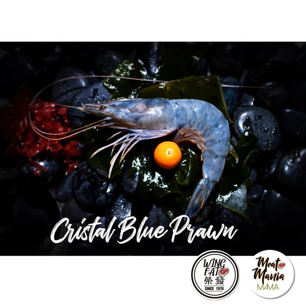🇫🇷法國🇫🇷煮食用藍水晶蝦12隻裝