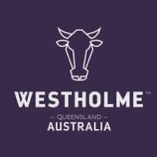 澳洲Westholme M8-M9斧頭扒