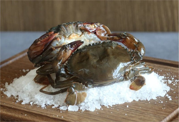 軟殼蟹 M Size🦀(7-10隻庄)