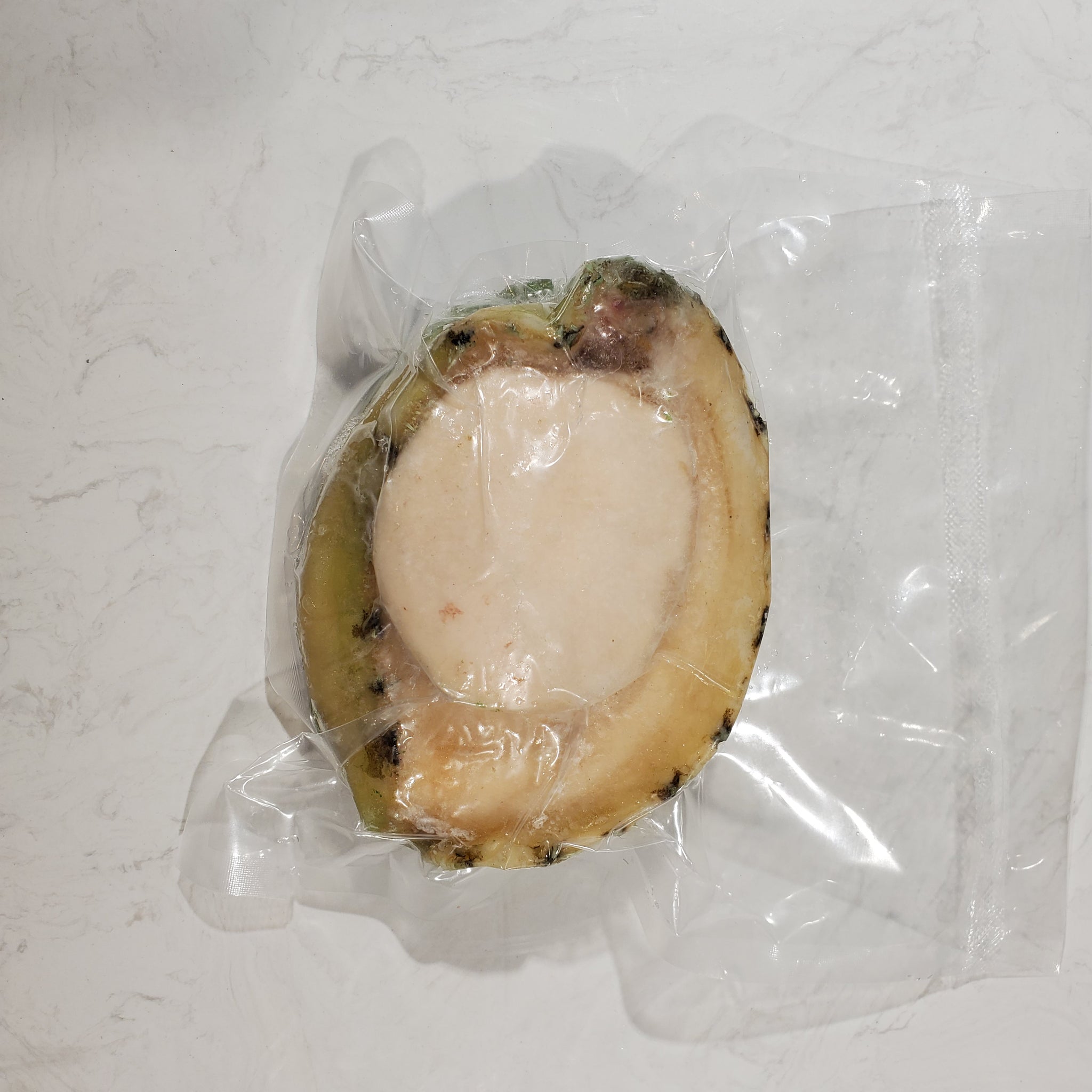 南澳急凍青邊鮑魚