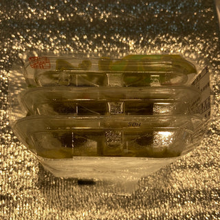 日本函館工場直送芥末八爪魚付海帶（45g x 3盒）
