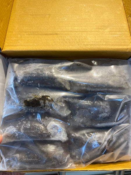 軟殼蟹 M Size🦀(7-10隻庄)